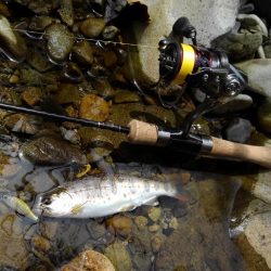 渓流ミノーイング